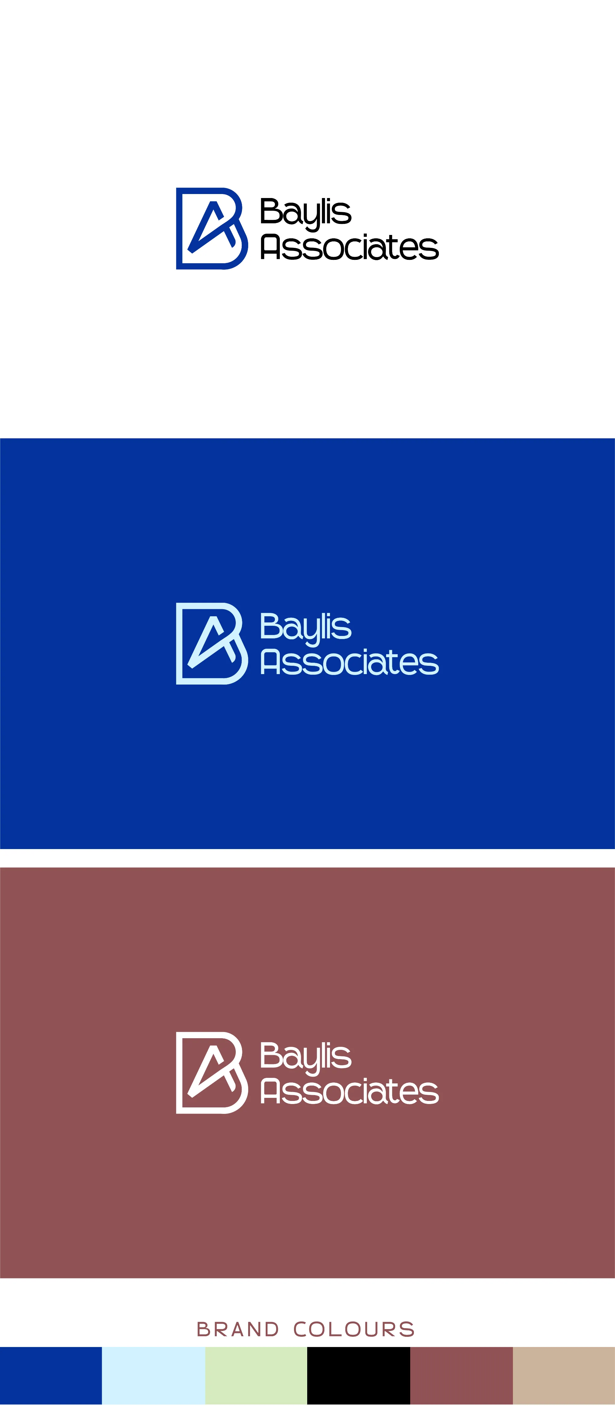 Baylis Associates logo on white, blue and rose, with the brand colour palette